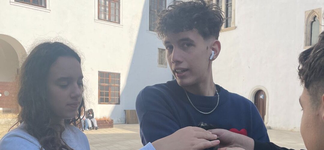 Siklósi várban járt a 11.f – NEP