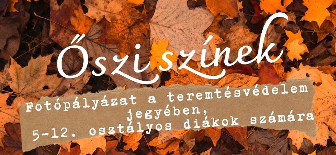 Őszi színek fotópályázat