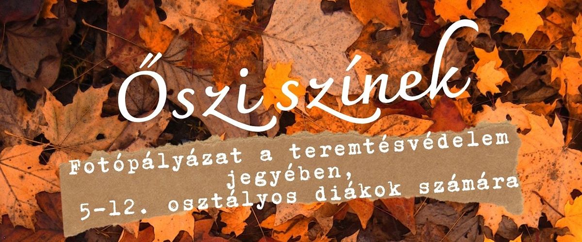 szentmo-oszi szinek fotopalyazat-01